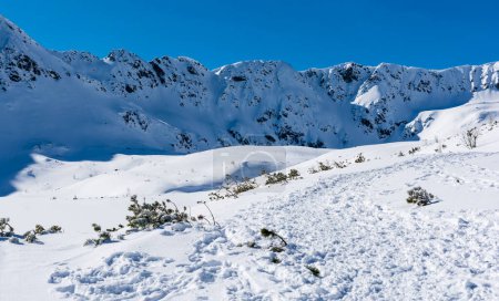 Téléchargez les photos : Crête dans les montagnes dans des conditions hivernales. - en image libre de droit