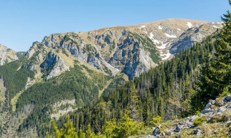 Téléchargez les photos : Vue printanière des pentes herbeuses rocheuses dans les montagnes au-dessus de la limite supérieure de la forêt. - en image libre de droit