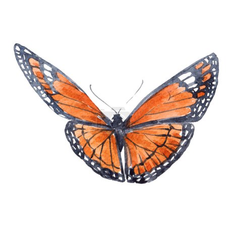 Téléchargez les photos : Belle image clip art avec de mignons papillons aquarelle dessinés à la main. Illustration de stock. - en image libre de droit