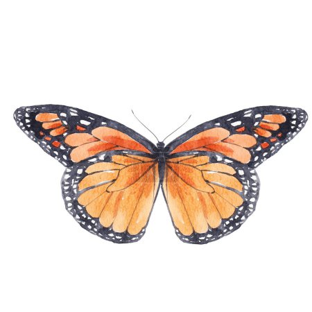 Photo for Beautiful clip art image with cute hand drawn watercolor butterflies. Stock illustration. - Royalty Free Image