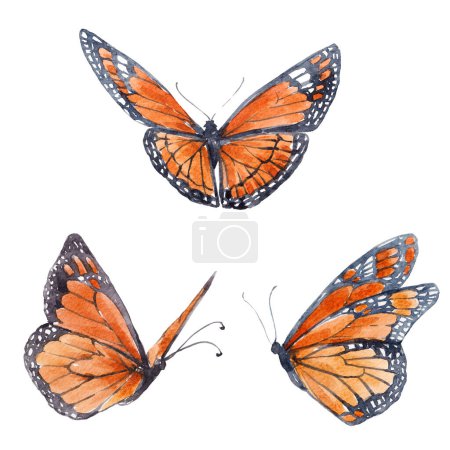 Téléchargez les photos : Belle image clip art avec de mignons papillons aquarelle dessinés à la main. Illustration de stock. - en image libre de droit