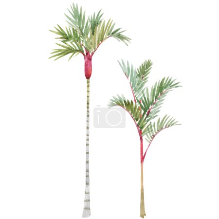 Téléchargez les photos : Beautiful stock clip art illustration with watercolor tropical palm tree. - en image libre de droit