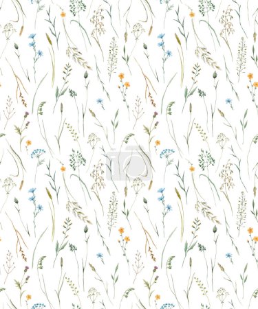 Photo for Beautiful floral seamless pattern with watercolor wild herbs and flowers. Stock illustration. - Royalty Free Image