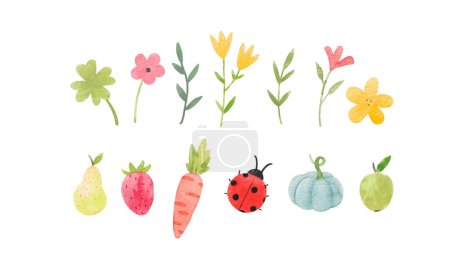 Beautiful stock illustration with set of watercolor flowers fruits and other elements.