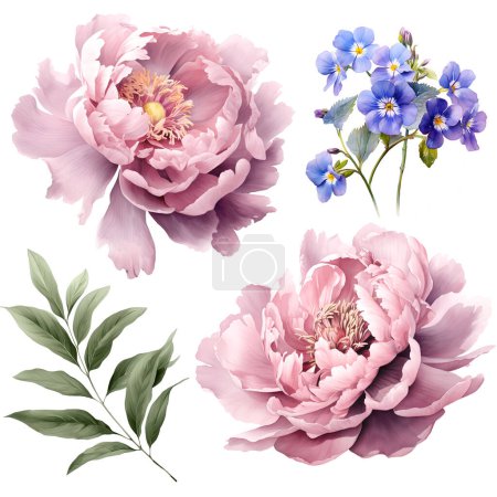 Photo for Beautiful image with gentle peony flowers. Floral stock illustration. - Royalty Free Image