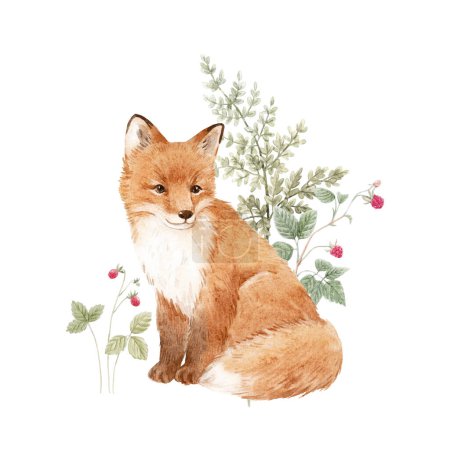 Photo for Beautiful composition with hand drawn watercolor forest fox animal and plants withh berries. Stock illustration. - Royalty Free Image