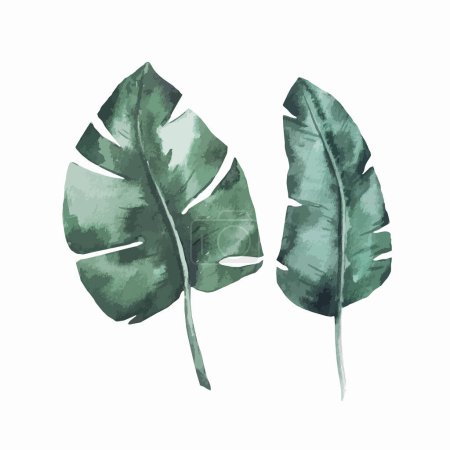 Téléchargez les illustrations : Beautiful autotraced vector clip art stock illustration with watercolor colorful tropical palm leaves. - en licence libre de droit