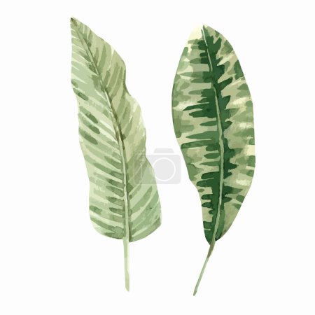 Ilustración de Beautiful autotraced vector clip art stock illustration with watercolor colorful tropical palm leaves. - Imagen libre de derechos