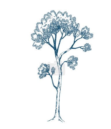 Photo for Beautiful vector stock print. Hand drawn forest tree pencil illustration. Clipart. - Royalty Free Image