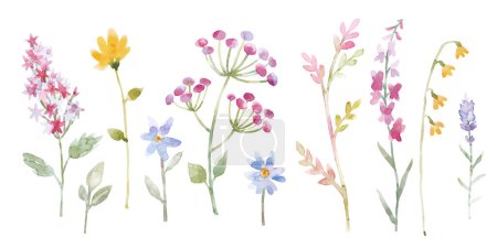 Photo for Modern watercolor floral vector set. Collage contemporary set of elements. Hand drawn flowers. - Royalty Free Image