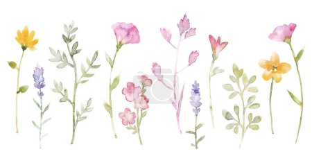 Photo for Modern watercolor floral vector set. Collage contemporary set of elements. Hand drawn flowers. - Royalty Free Image
