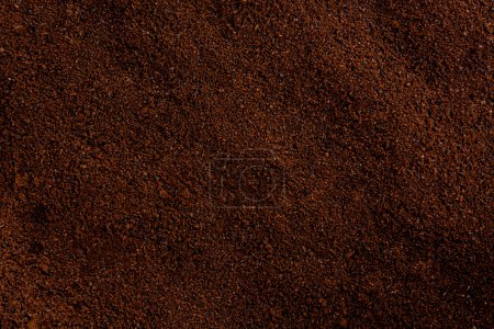 Texture of ground coffee beans. Full frame. Coffee background.