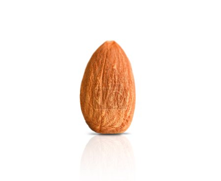One almond isolated on white background, clipping path. Ripe nuts.