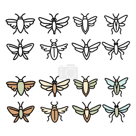 GROUP OF EIGHT BUGS, DRAWINGS OF INSECTS WITH WINGS