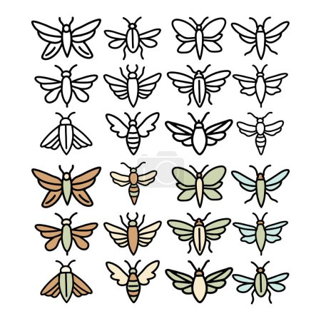 DRAWINGS OF INSECTS WITH WINGS, GROUP OF TWELVE BUGS