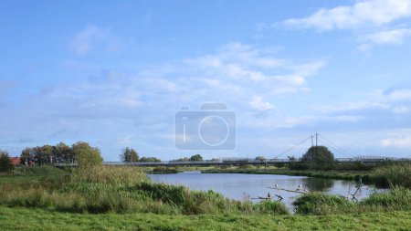 Foto de Vista del río Vecht cerca de Hardenberg, Países Bajos. En primer plano algunas aves están sentadas en una rama en el agua. Un puente colgante es visible en el fondo - Imagen libre de derechos