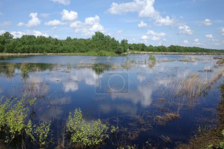 Flacher See in einem riesigen Moorgebiet. Der blaue Himmel mit Wolken spiegelt sich im Wasser wider. Ort: Dalum-Wietmarscher Moor, Niedersachsen, Deutschland