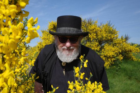 An older man, dressed in black with a modern version of a top hat, looks through blooming common broom bushes. It's a nice contrast
