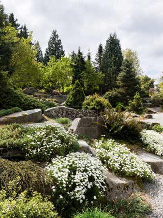 Printemps à Bellevue Botanical Garden - État de Washington, États-Unis
