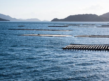 Foto de Granjas de balsas de ostras en la bahía de Hiroshima del Mar Interior de Seto - Prefectura de Hiroshima, Japón - Imagen libre de derechos
