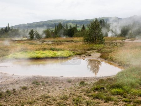 Dampf steigt aus dem Boden im Geothermalgebiet Geysir, Island