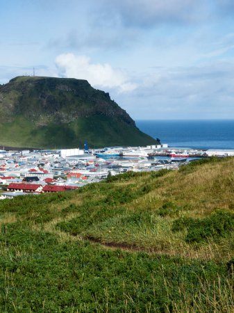Vue panoramique de la ville et du port de Heimaey sur l'île de Heimaey - Îles Westman, Islande
