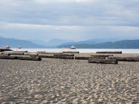 Troncos de árboles en la playa de Jericó en Vancouver BC, Canadá
