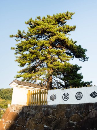 Photo for Kofu, Japan - October 26, 2017: On the grounds of Maizuru Castle Park (Kofu castle) - Royalty Free Image