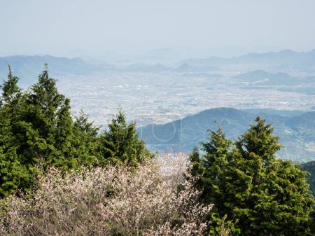 Scenic view over the city of Kan-Onji from the top of Unpenji ropeway with cherry tree blooming - Kagawa prefecture, Japan