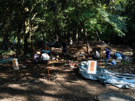 Photo for Kofu, Yamanashi prefecture, Japan - October 26, 2017: Archaeologists at work on the grounds of Takeda Shrine, a site of former Tsutsujigasaki mansion of the feudal Takeda clan - Royalty Free Image