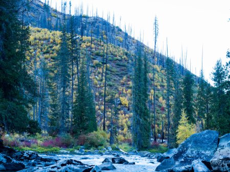 Foto de Colores de otoño en Tumwater Canyon of Wenatchee River en Cascadas del Norte - Estado de Washington, EE.UU. - Imagen libre de derechos