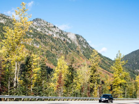 Foto de El follaje otoñal en Stevens pasa a lo largo de la carretera estadounidense 2 en Cascade Mountains - estado de Washington, Estados Unidos - Imagen libre de derechos