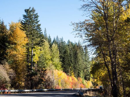 U.S. Route 2 Highway en otoño (parte de Cascade Loop Scenic Drive) - Washington State, USA