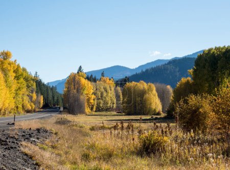 Follaje de otoño a lo largo de la carretera estadounidense 2 en Cascade Mountains - Estado de Washington, EE.UU.