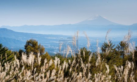 Photo for View of Mount Fuji from Fujimidaira overlook at Yatsugatake Mountains - Yamanashi prefecture, Japan - Royalty Free Image
