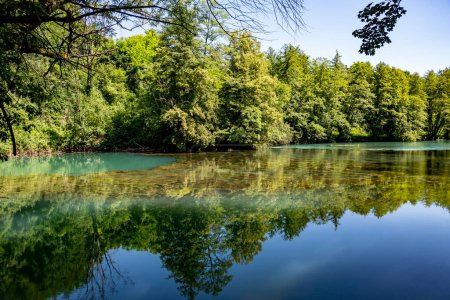 Foto de Hermosa ribera del río Slunjcica, Croacia cubierta de denso bosque verde - Imagen libre de derechos