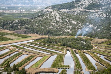 Schöne ländliche Landschaft und Obstplantage am Ufer des Flusses Neretva, berühmtes Anbaugebiet im Süden Kroatiens