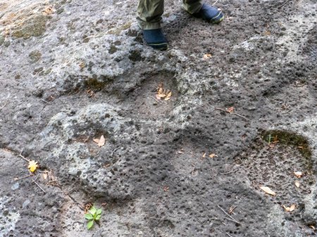 Téléchargez les photos : Le site archéologique Ciampate del Diavolo a fossilisé les empreintes conservées dans le flux pyroclastique. Photo de haute qualité - en image libre de droit