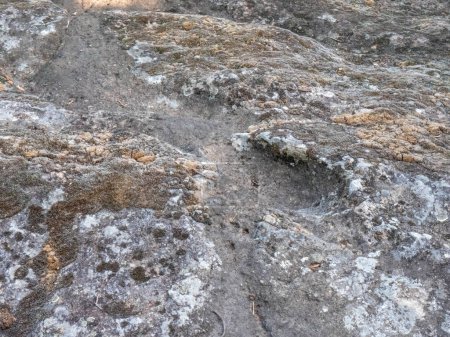 Foto de El yacimiento arqueológico Ciampate del Diavolo fosilizó huellas conservadas en flujo piroclástico. Foto de alta calidad - Imagen libre de derechos