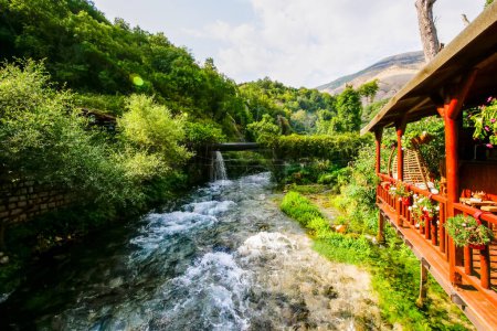 Blue Eye Lake Park en Albania es un oasis ubicado en el corazón de la naturaleza. Con sus aguas cristalinas, exuberante vegetación, 