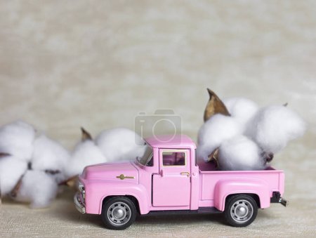 Photo for Lviv Ukraine - 02 26 2023: Pink vintage car pickup truck children's toy car and cotton flower, selective focus - Royalty Free Image