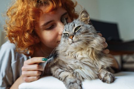 Téléchargez les photos : Adolescente prend soin de fourrure pelucheux chat domestique à poils longs. portrait chat gris allongé sur chaise pendant le toilettage à la maison - en image libre de droit
