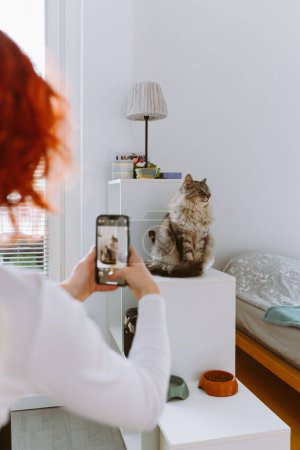 Jeune femme aux cheveux roux prend une photo grand chat gris sur smartphone, assis sur une étagère blanche, posant pour appareil photo à l'intérieur de la maison