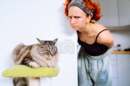 portrait gray fluffy cat sitting on cat tree and red-haired attractive teenage girl, owner cat. spend time together, play