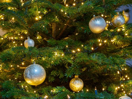 christmas tree with many lights