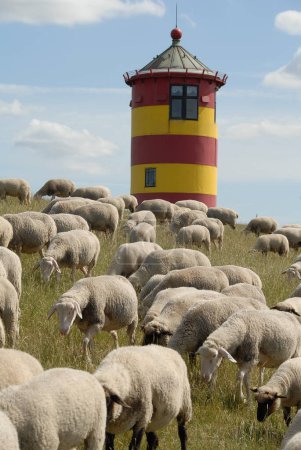 Foto de Saludar en el mar del norte en Alemania - Imagen libre de derechos