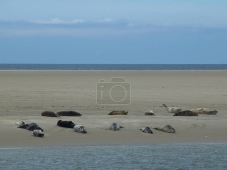 Foto de La isla de Borkum en el mar del norte alemán - Imagen libre de derechos