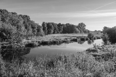 Foto de Temprano en la mañana en un río en Westfalia - Imagen libre de derechos