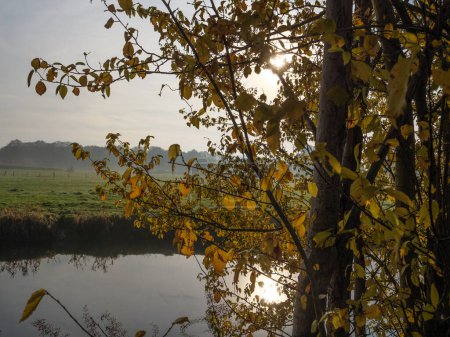otoño en el río