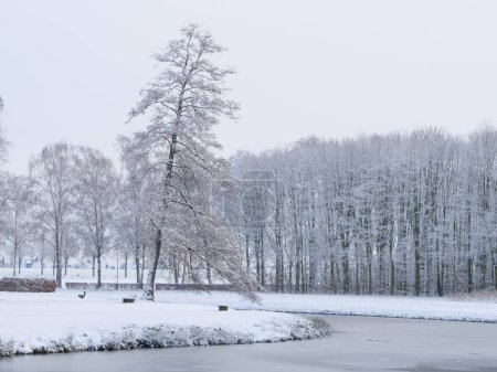 winter at raesfeld castle